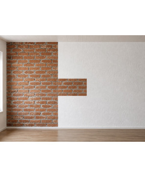 set 256 Buc -1,3Lei Buc- Placa decorativa Interior-exterior